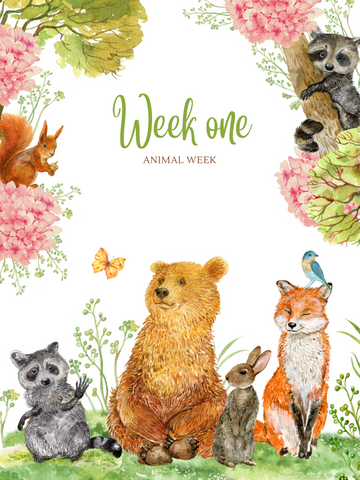Week 1-June 17- 21st Animal Week Morning for Age 5-8