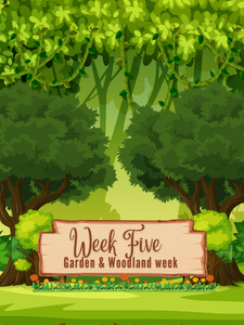 Week 5-July 15th- 19th- Garden and Woodland Morning for Age 5-8